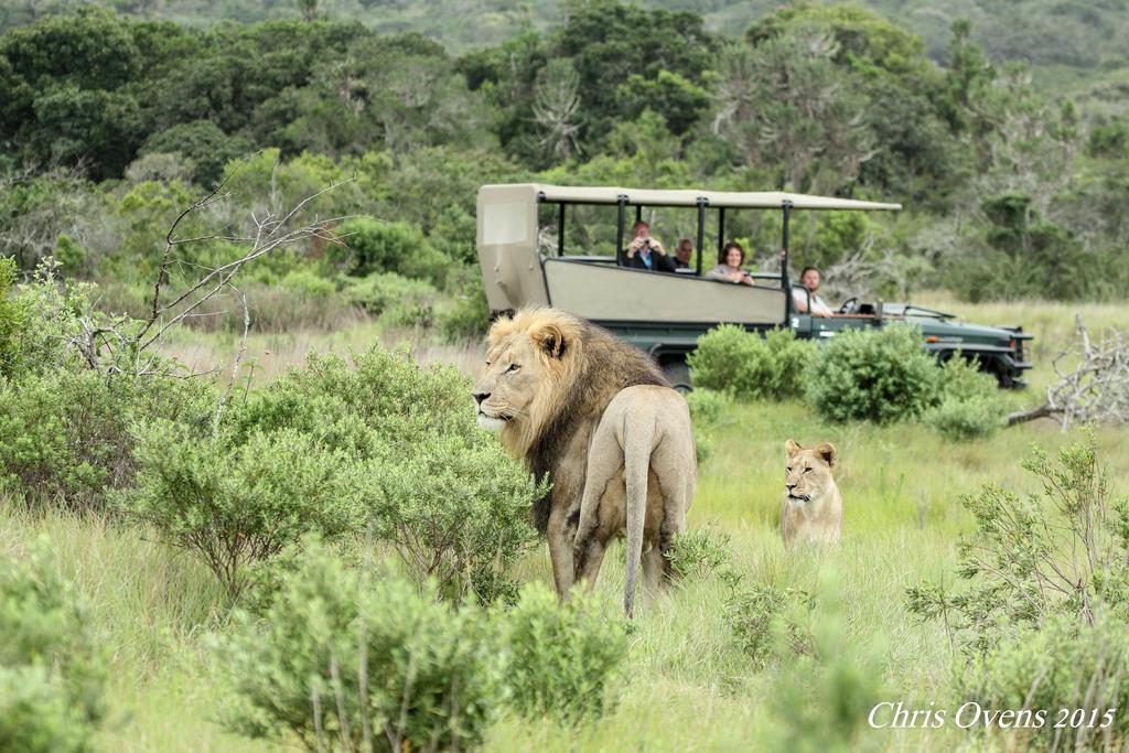 Sibuya Game Reserve And Lodge เคนตัน ออน ซี ภายนอก รูปภาพ